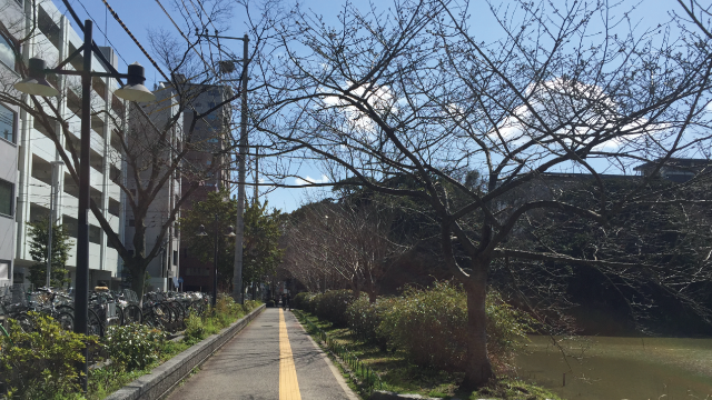 赤坂賃貸オフィス