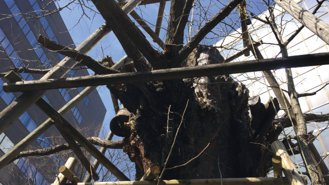 大名賃貸オフィス