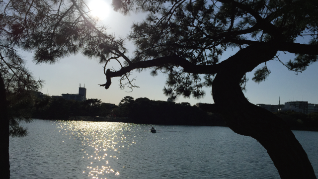 大濠賃貸オフィス