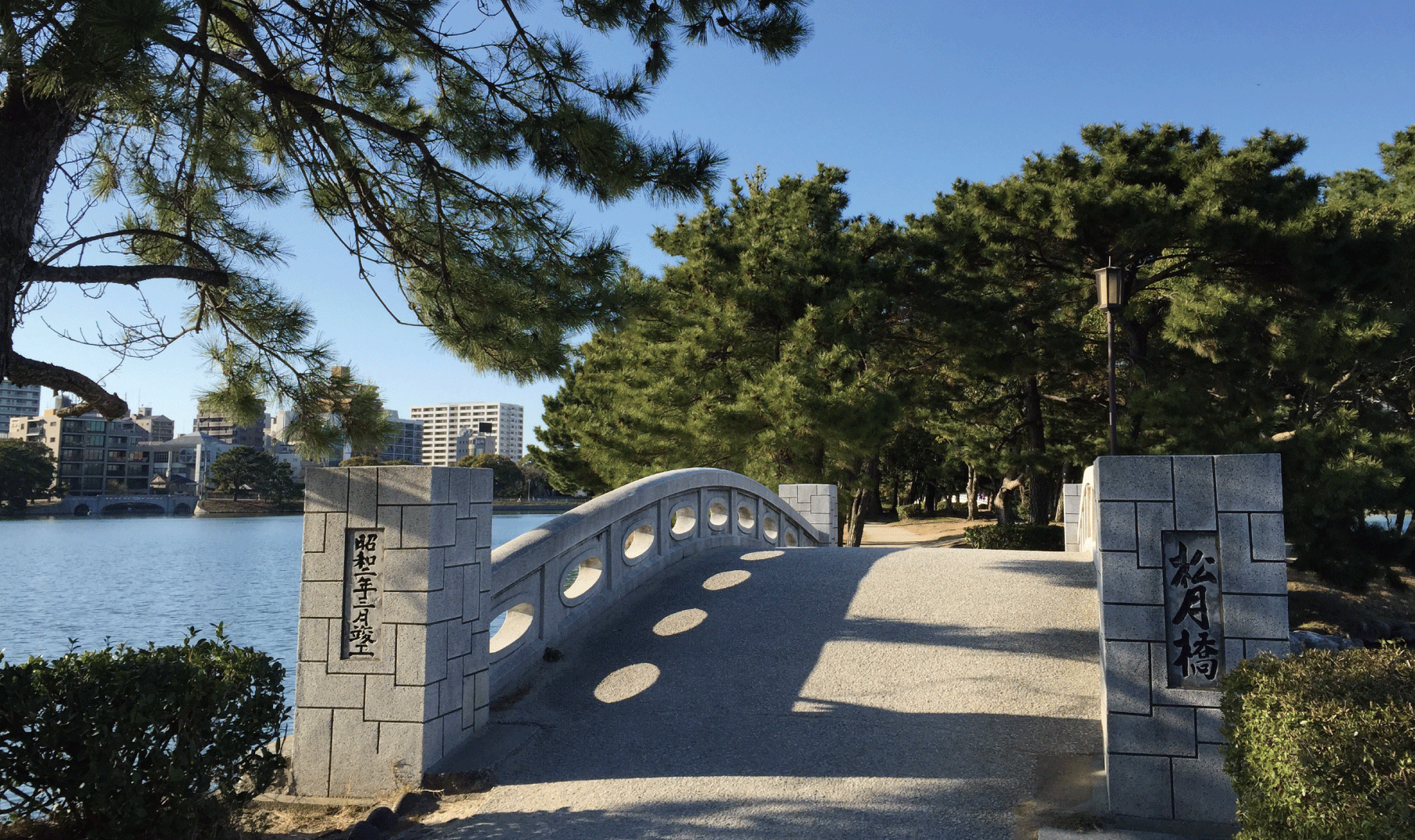 大濠賃貸事務所