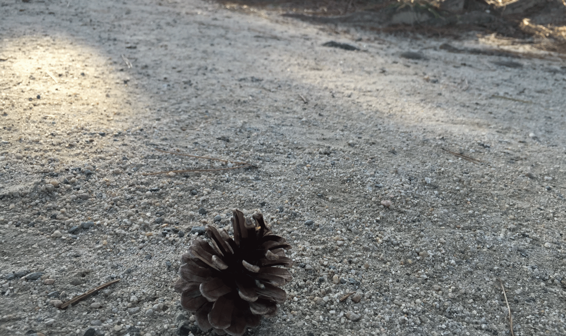 大濠賃貸事務所