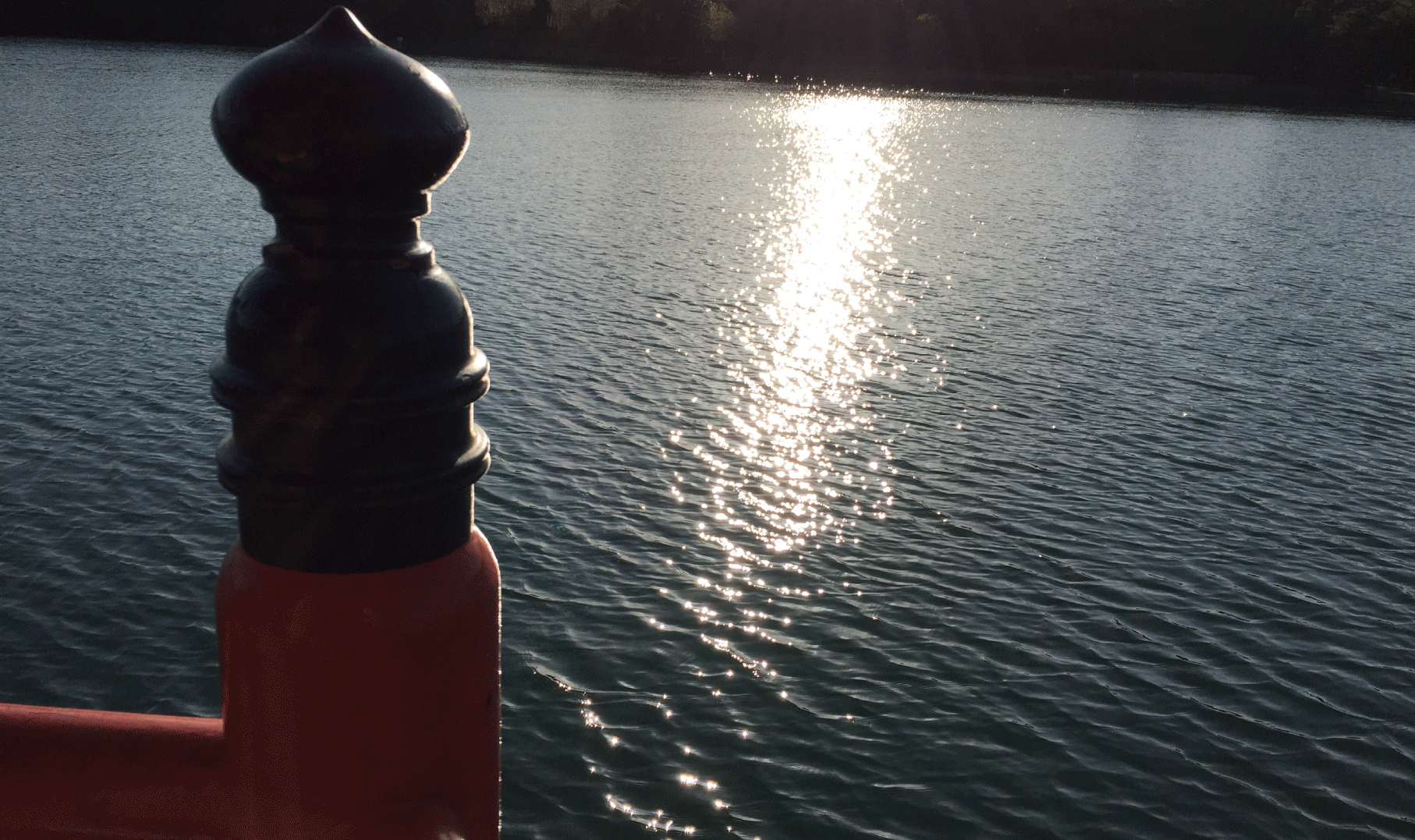 大濠賃貸事務所