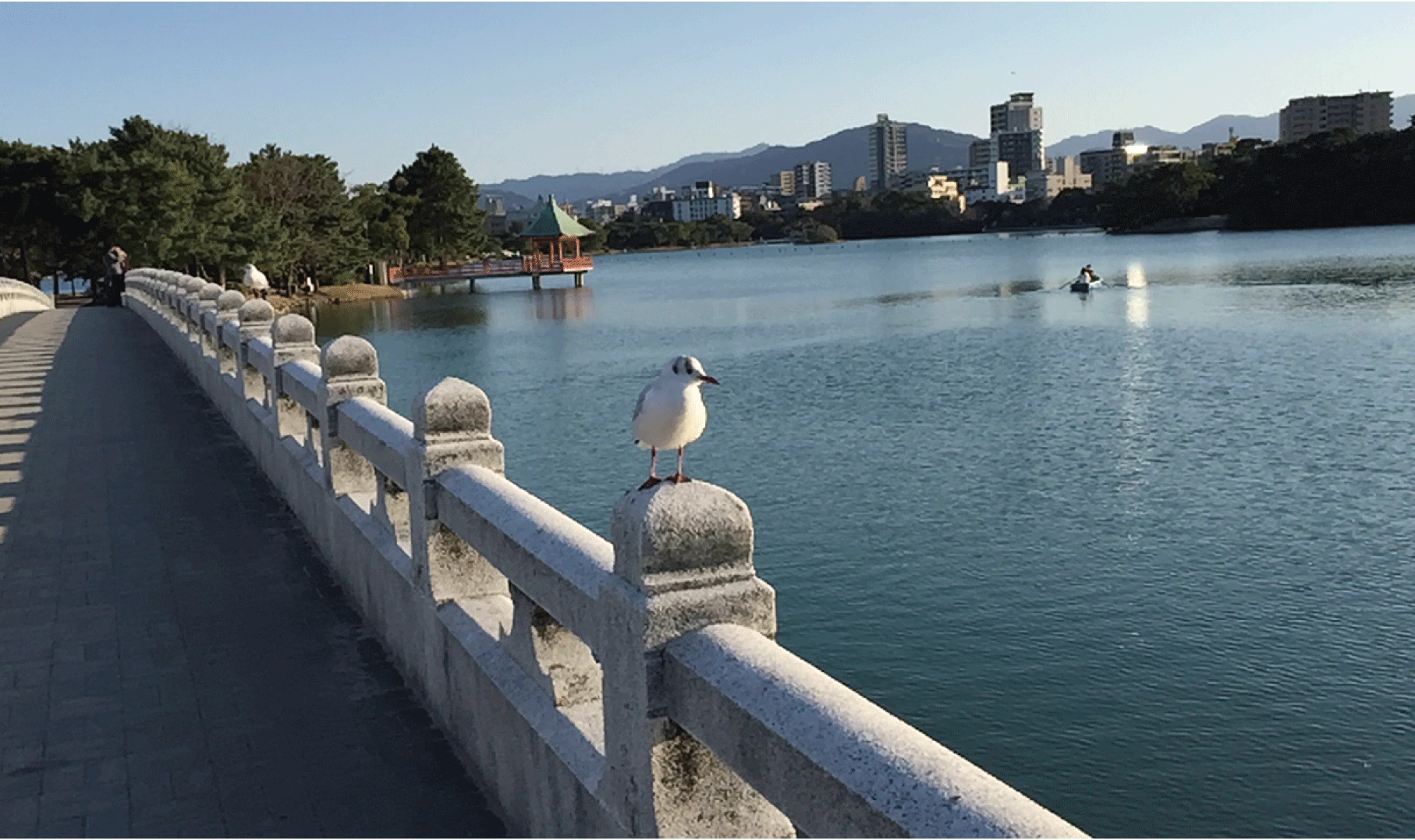 大濠賃貸事務所