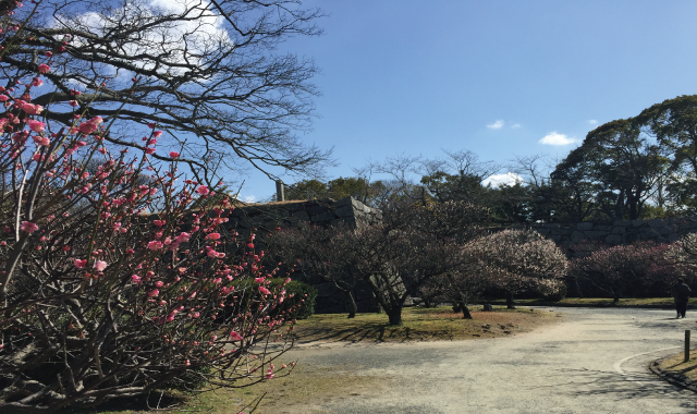 長浜賃貸事務所