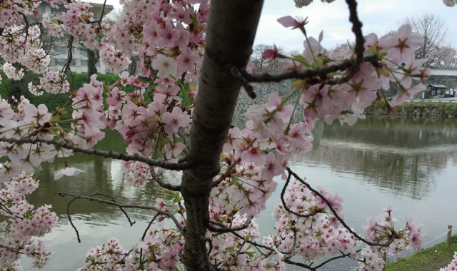 長浜賃貸事務所