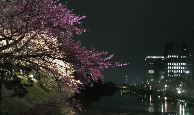 長浜賃貸事務所