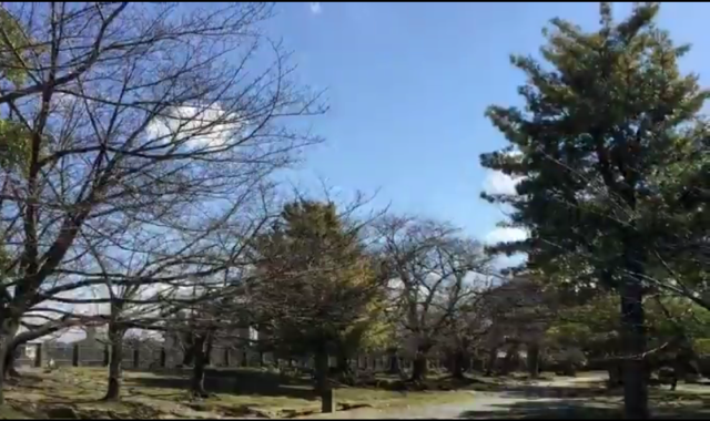 舞鶴賃貸事務所