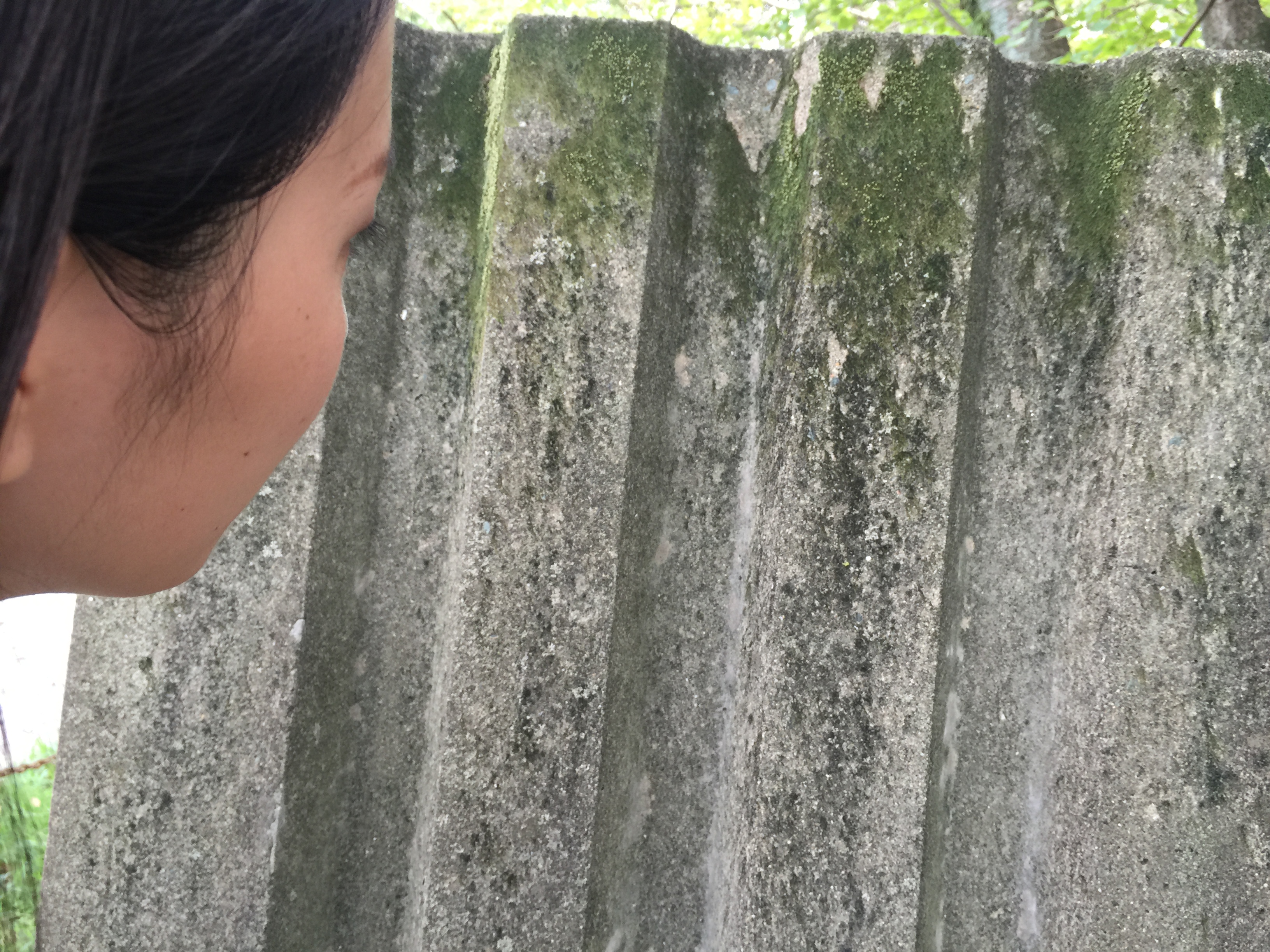 福岡市民のことば