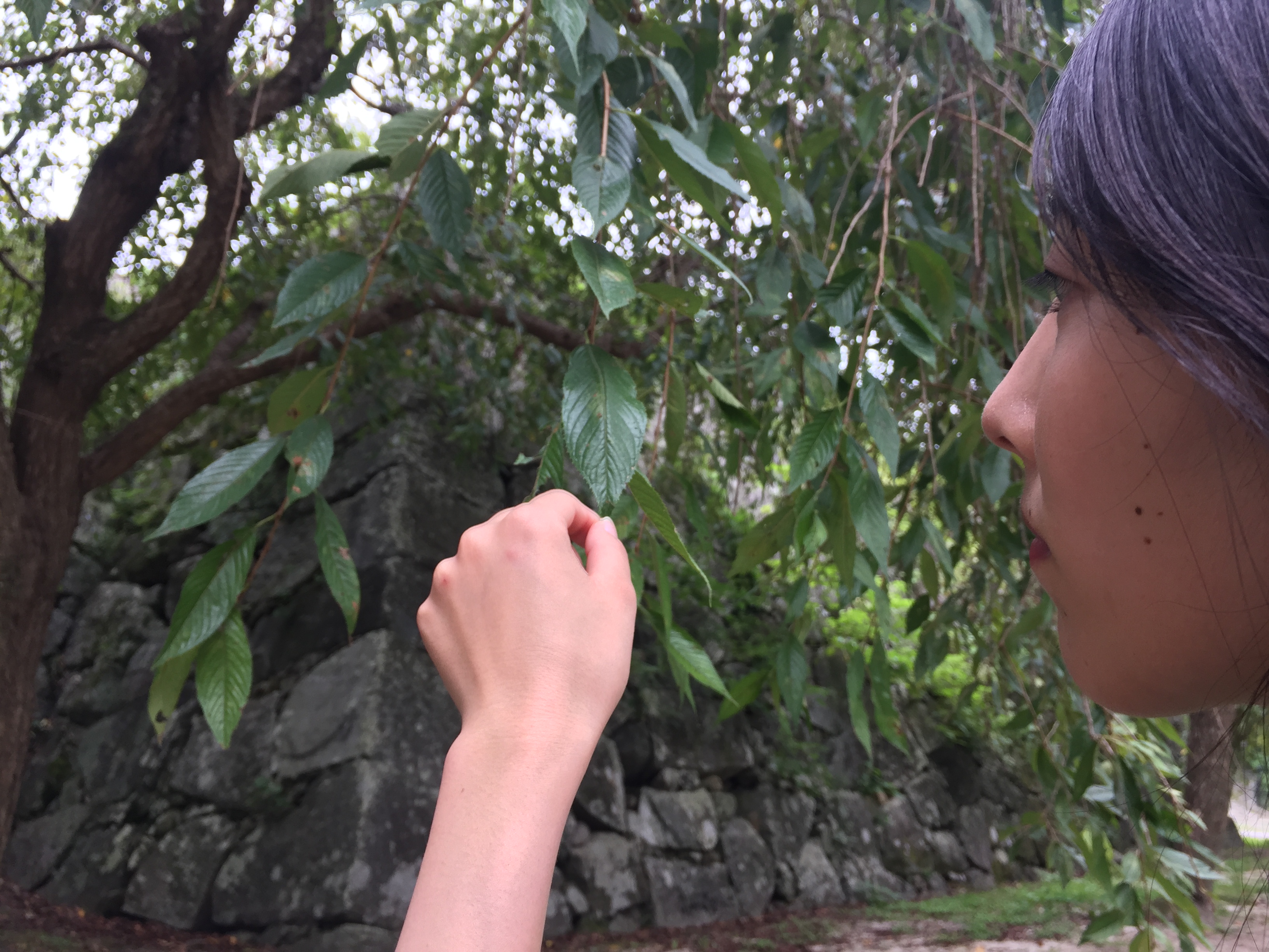 城内 情緒溢れる空間