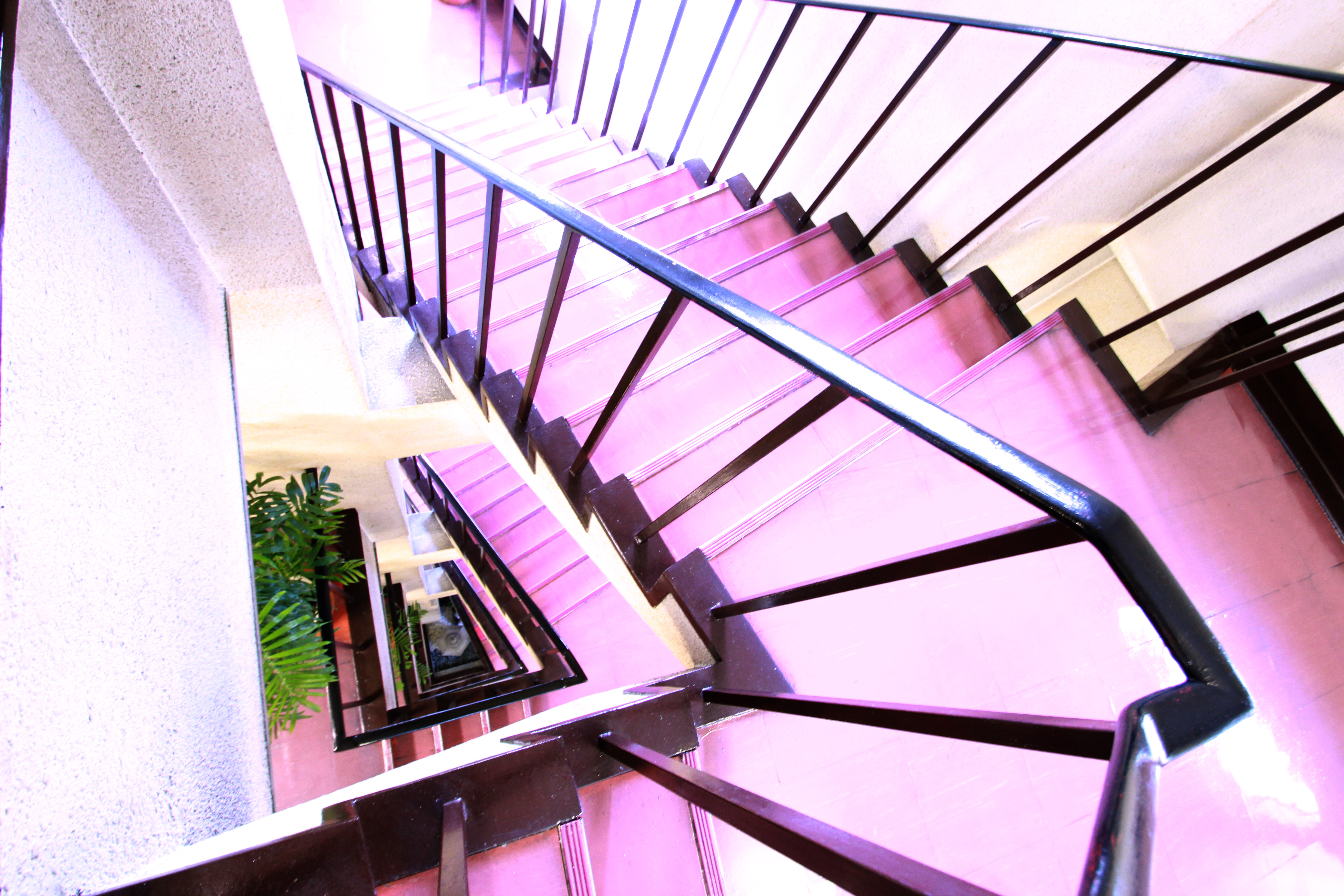 有限会社大禅紹介