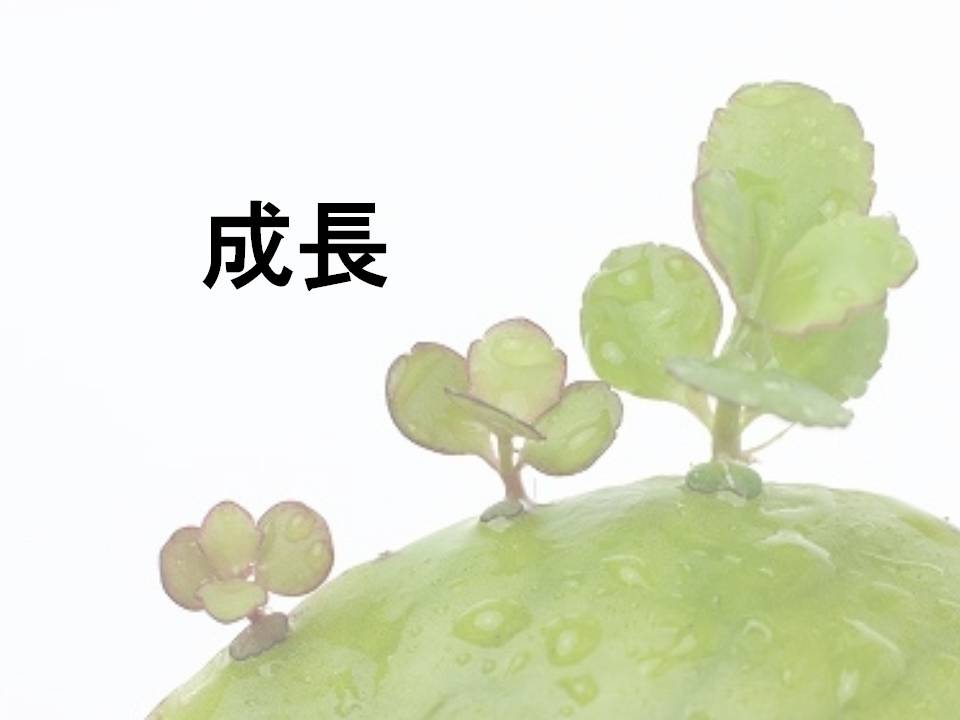 コンセプトチェック