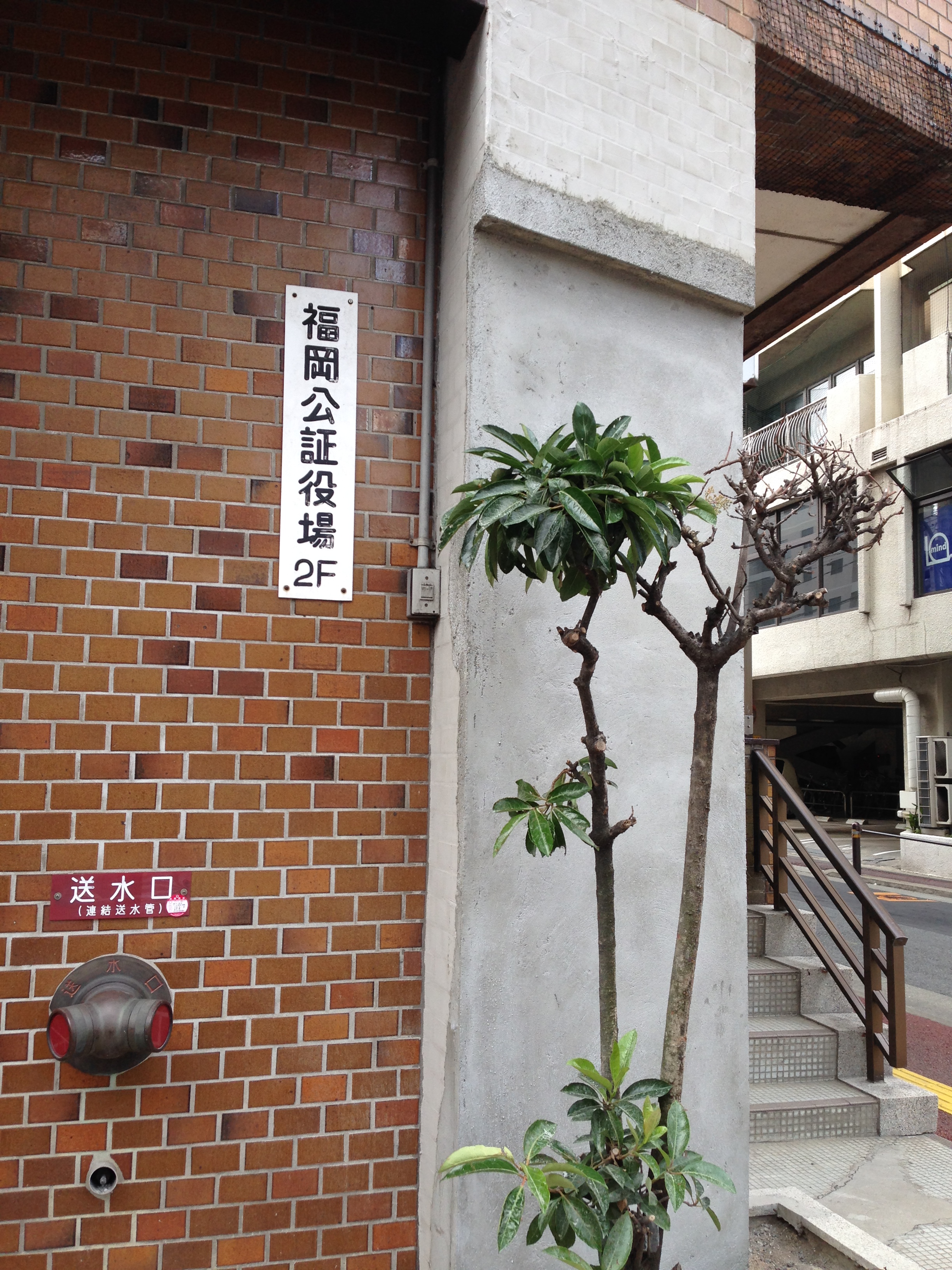 玄関タイル補修