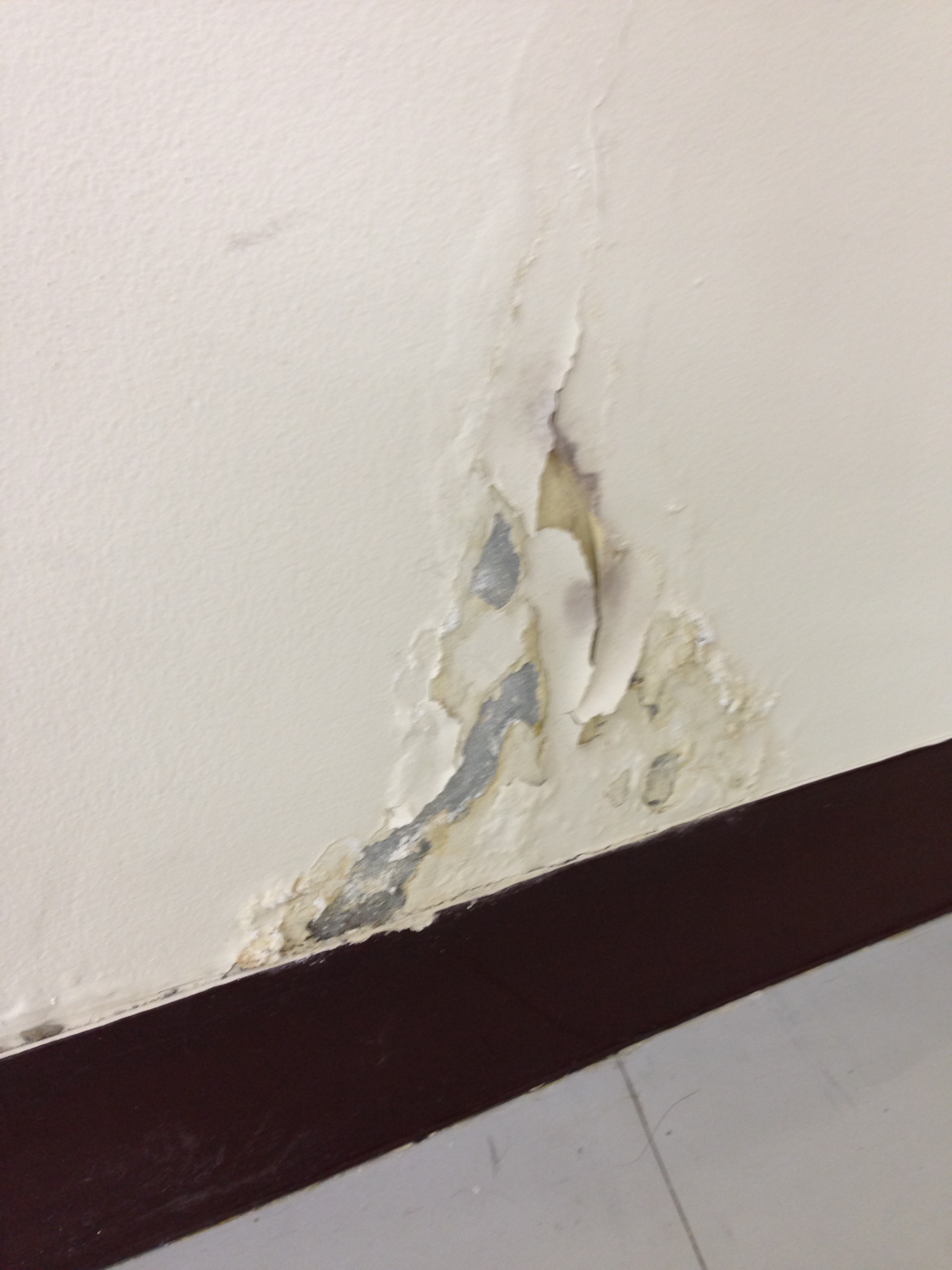 空室汚れの修復