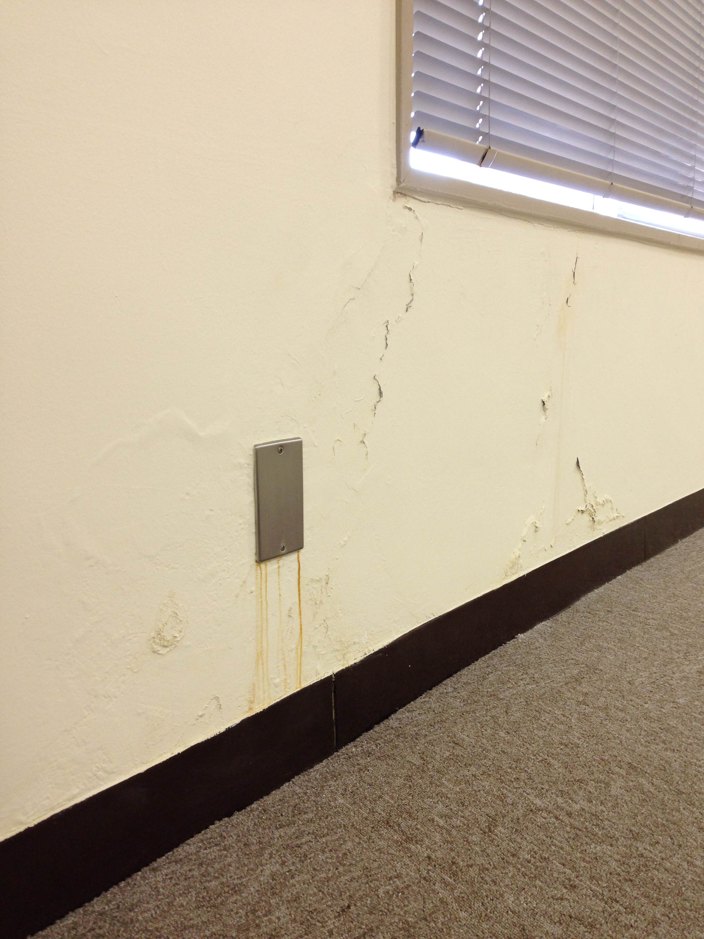 空室汚れの修復