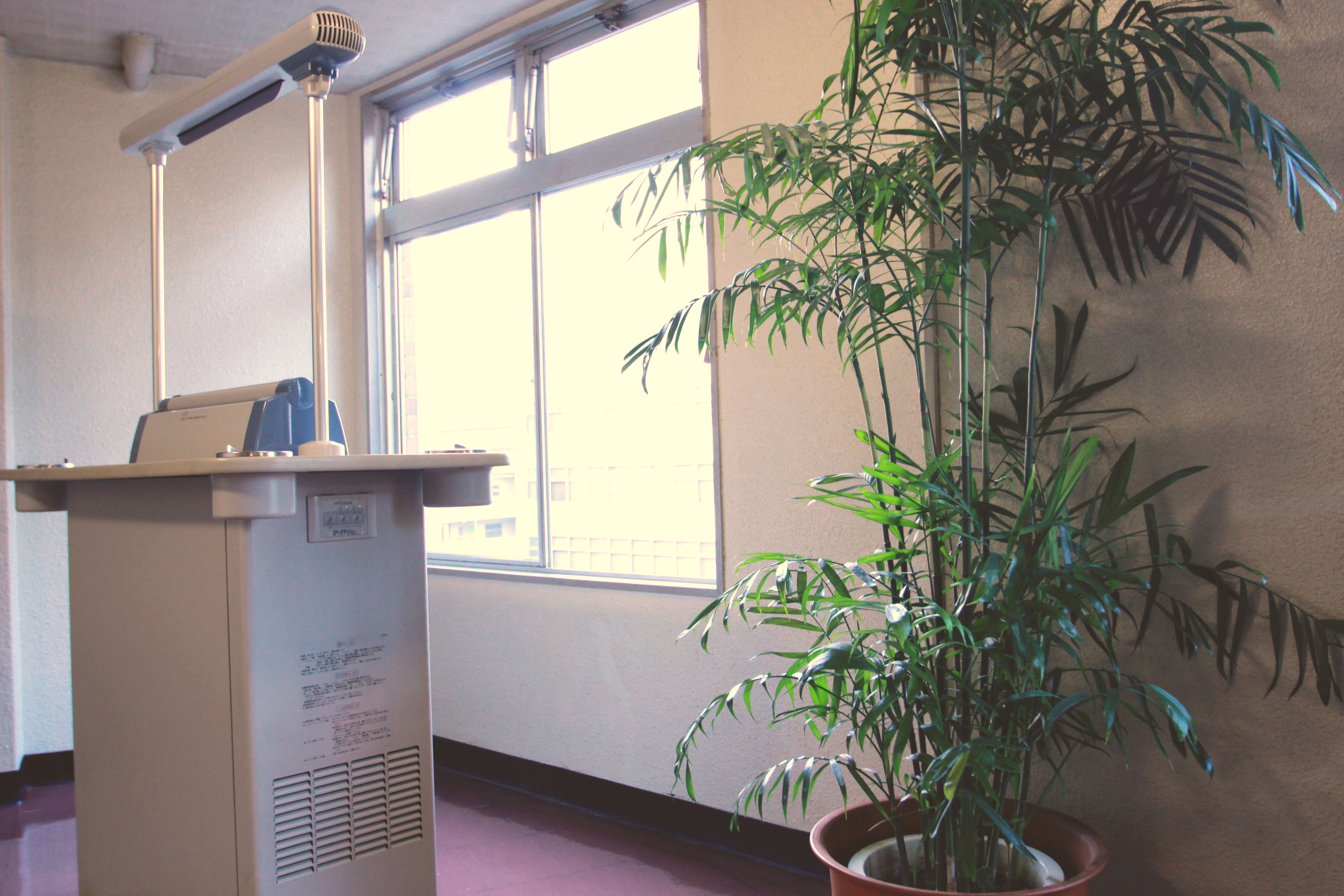 大禅ビルから臨む風景