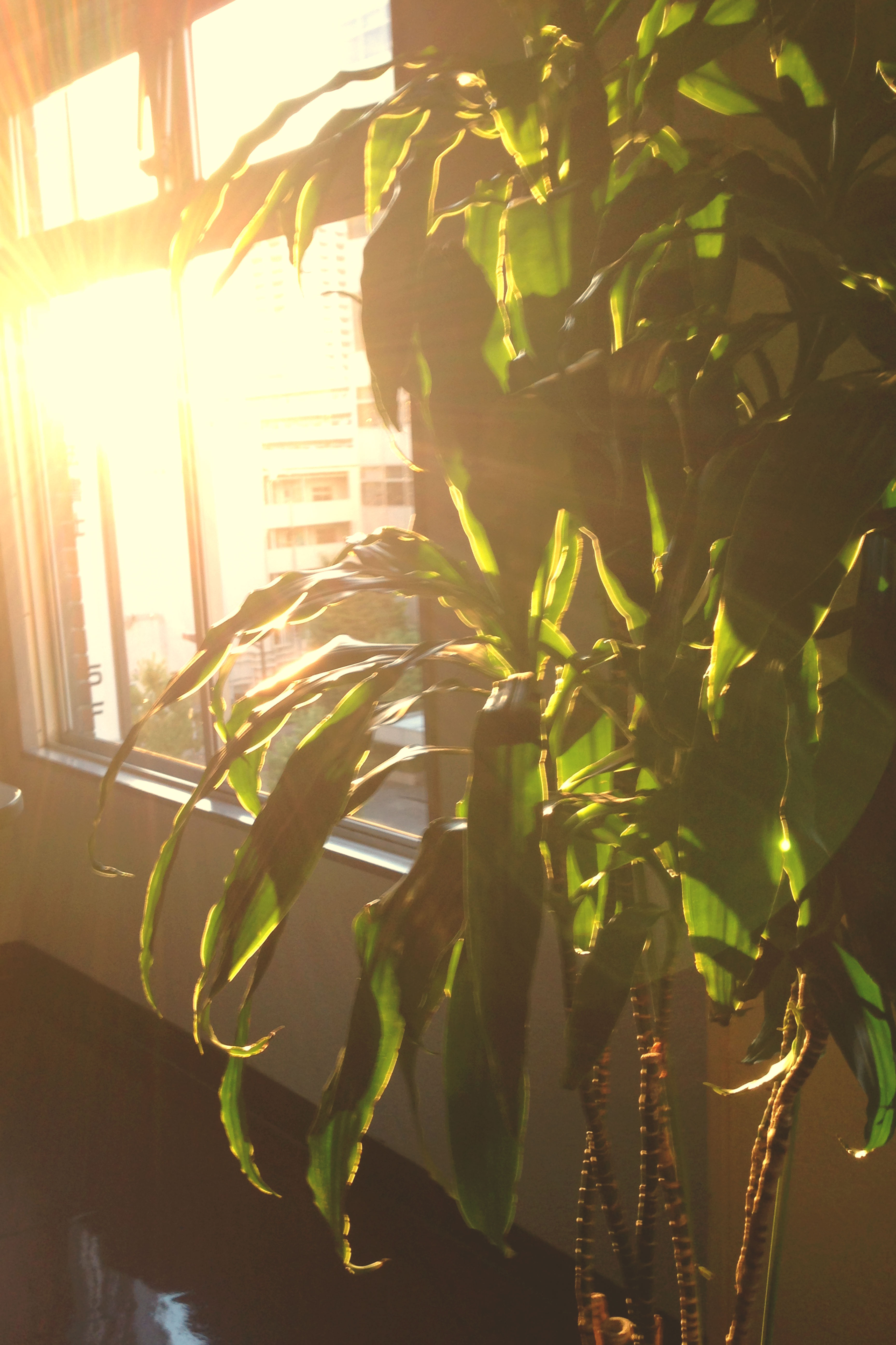 大禅ビルから臨む風景