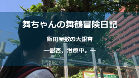 飯田屋敷の大銀杏