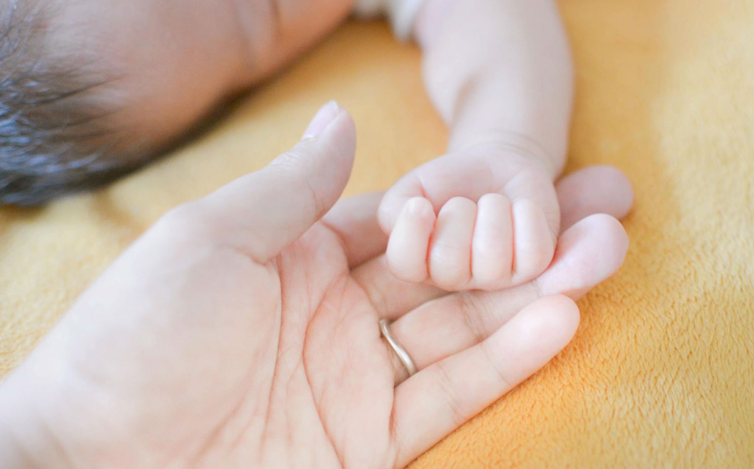 四季のいろ保育園