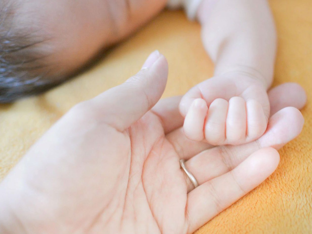 四季のいろ保育園