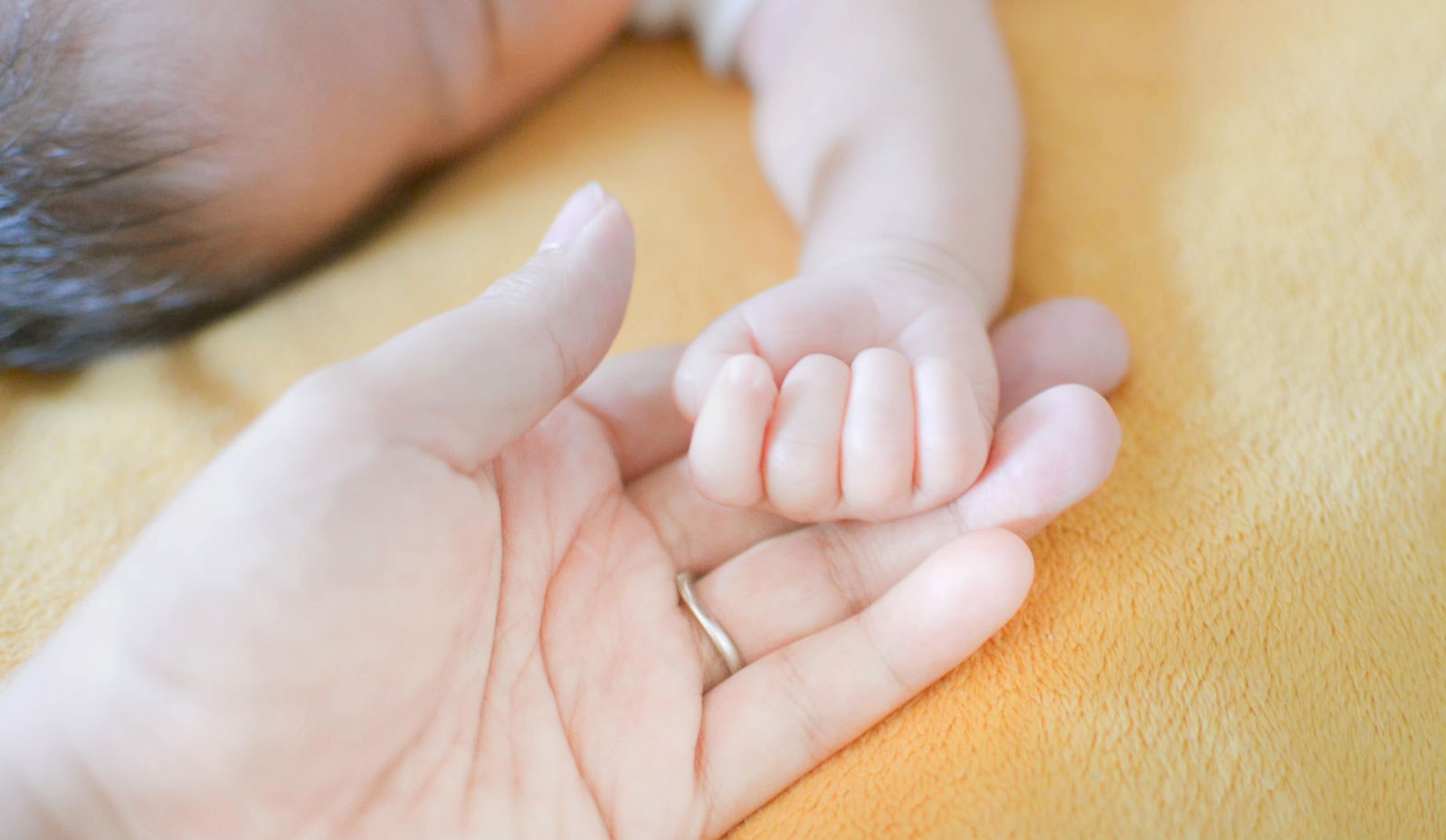 四季のいろ保育園