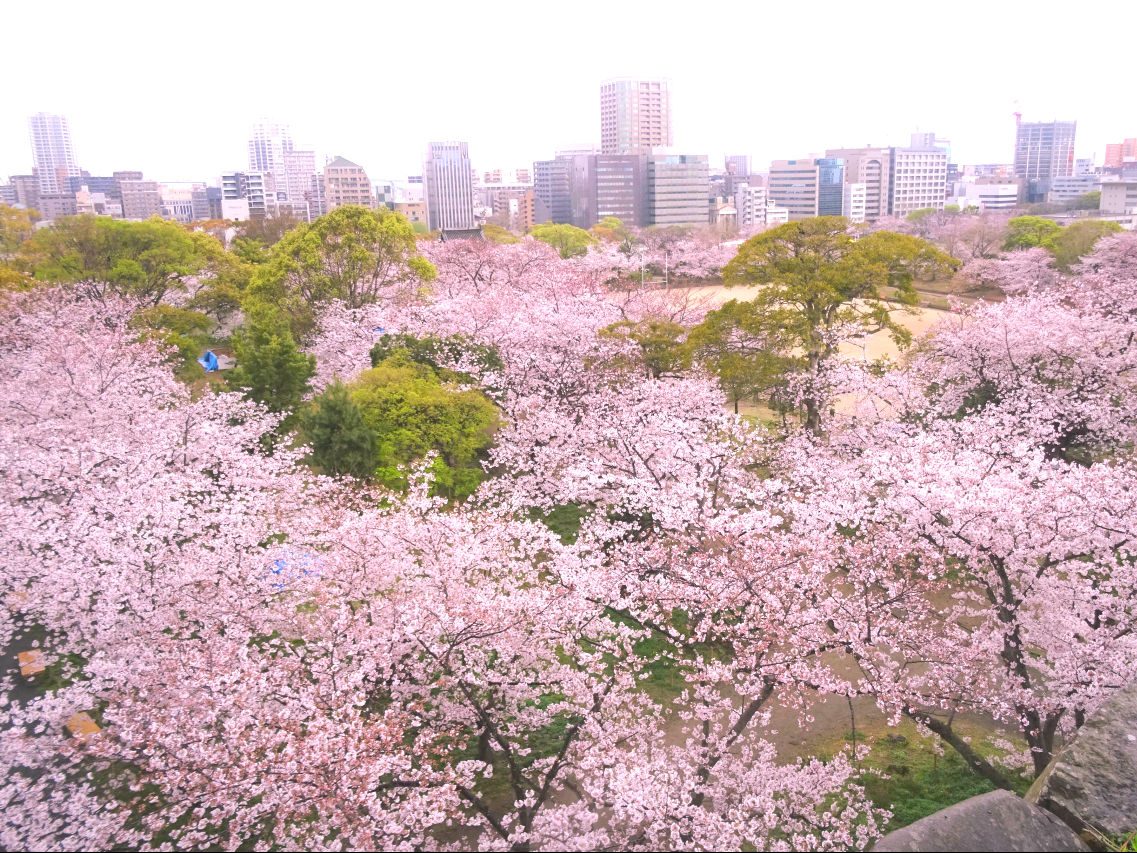 福岡城跡8a