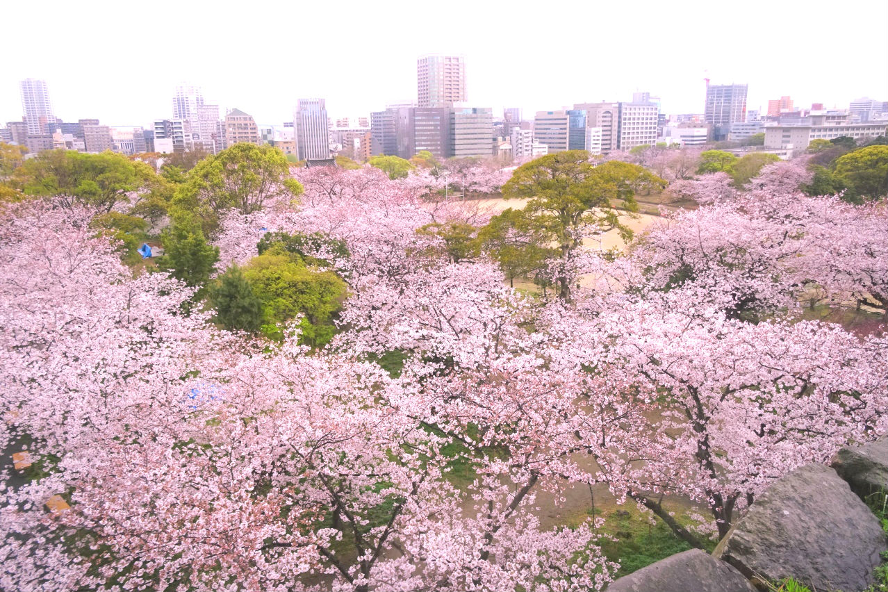 福岡城跡8a