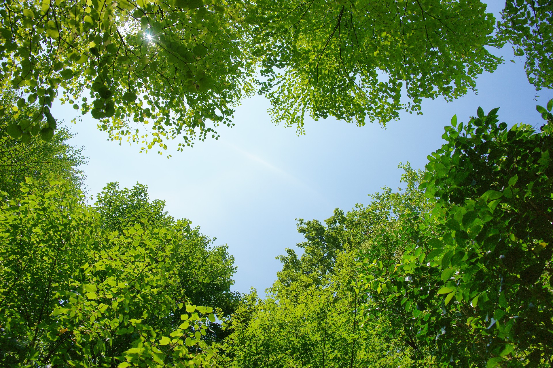 大禅不動産研究室