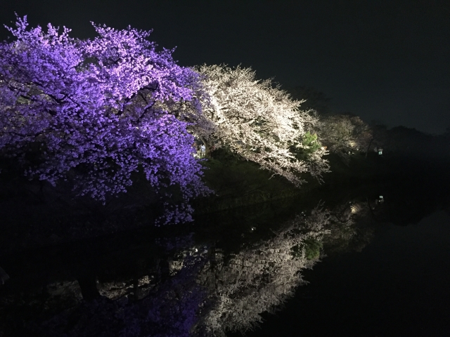 舞鶴公園ものがたり②
