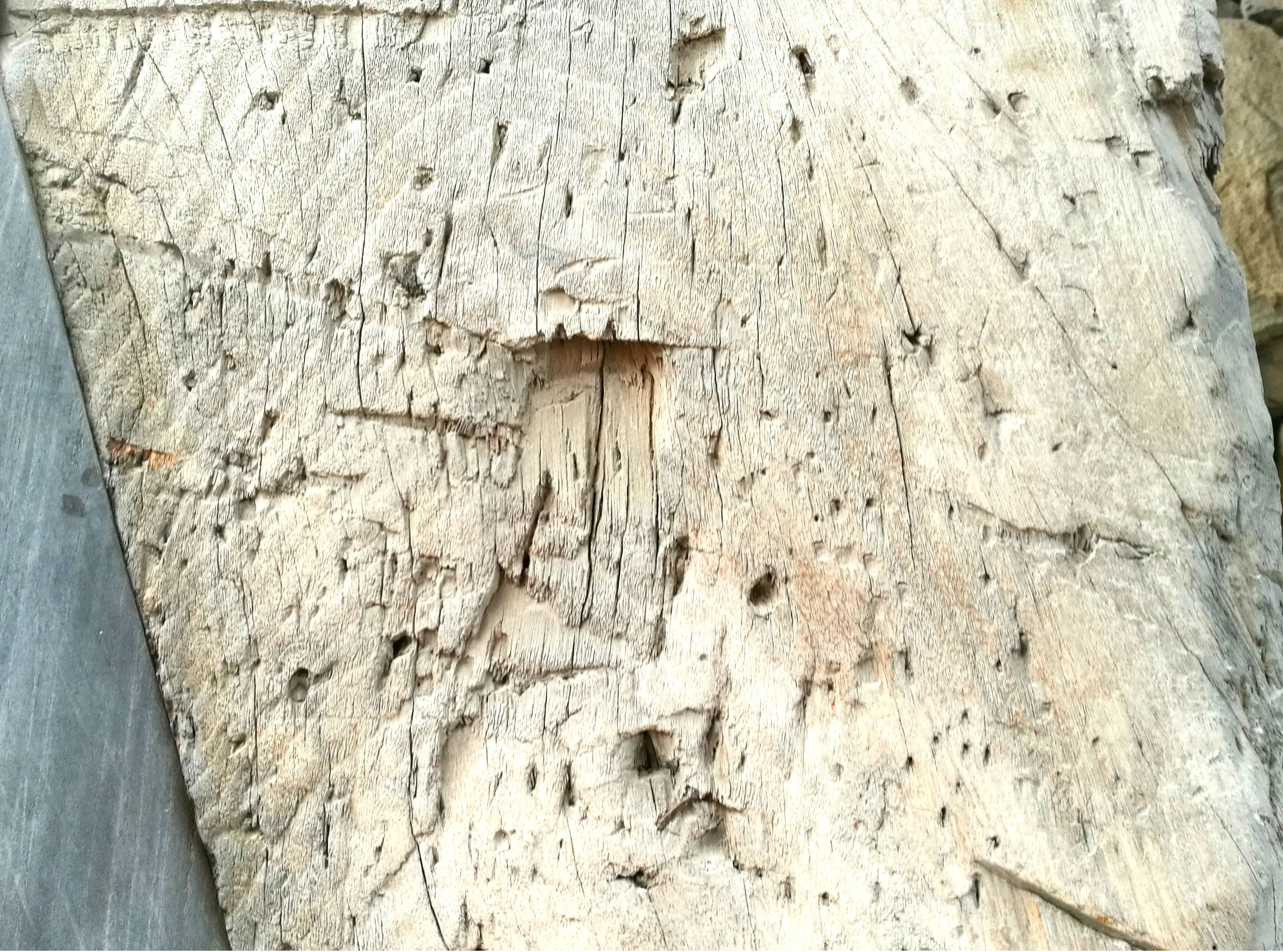 筑前竹槍一揆の傷