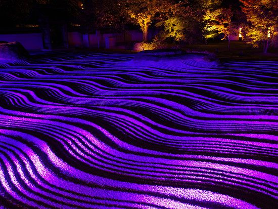 博多ライトアップ