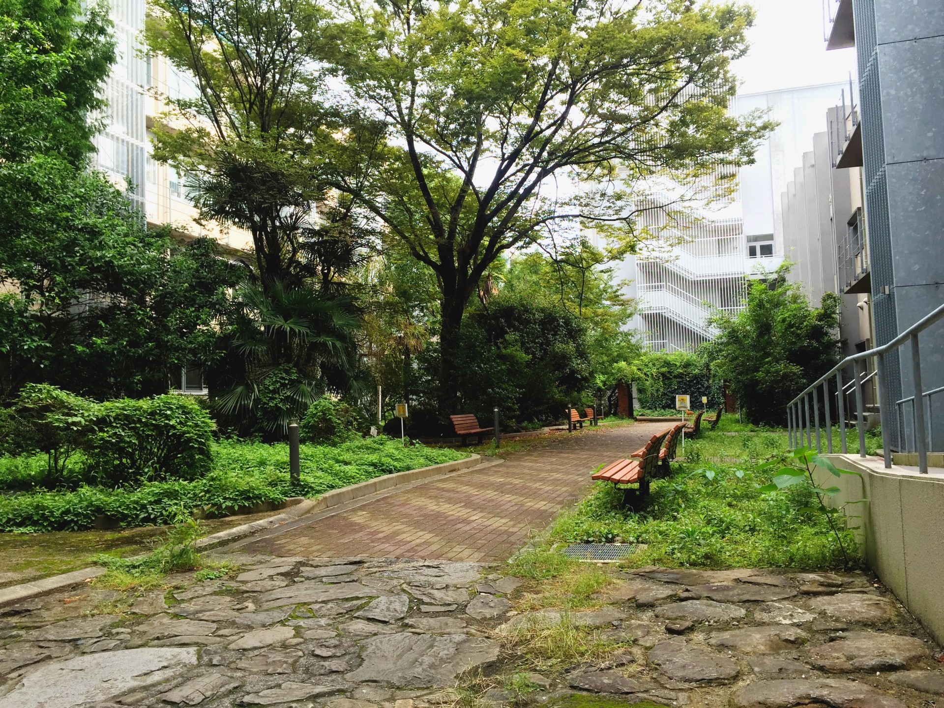 長崎大学環境科学部