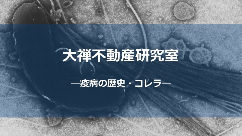 コレラサムネ_しょう