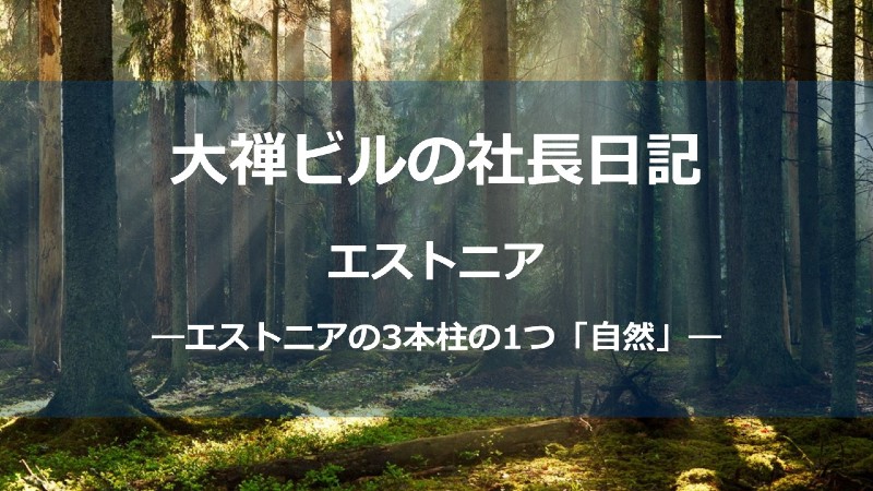 エストニア自然_サムネしょう