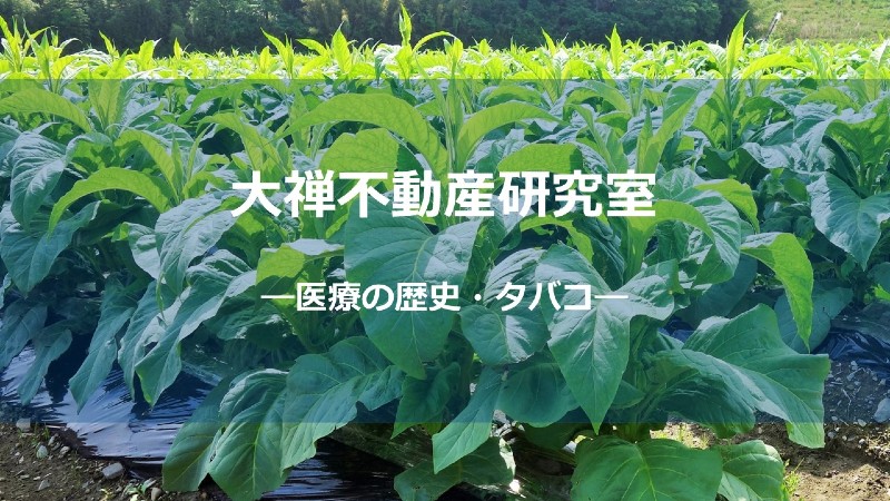 タバコサムネ_しょう