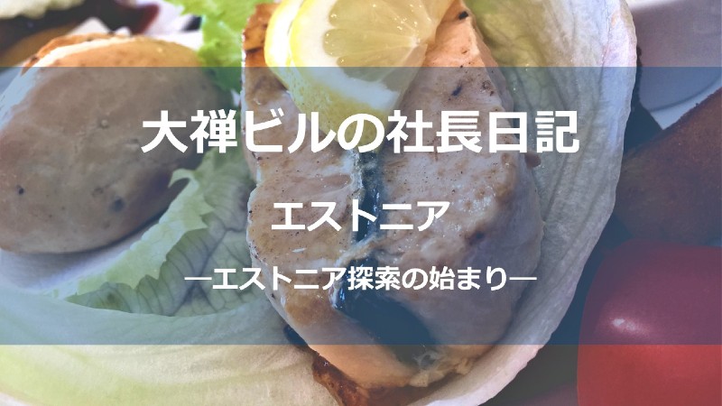 エストニア探索_サムネしょう